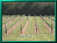 rehagen_vineyard_web_site004003.jpg